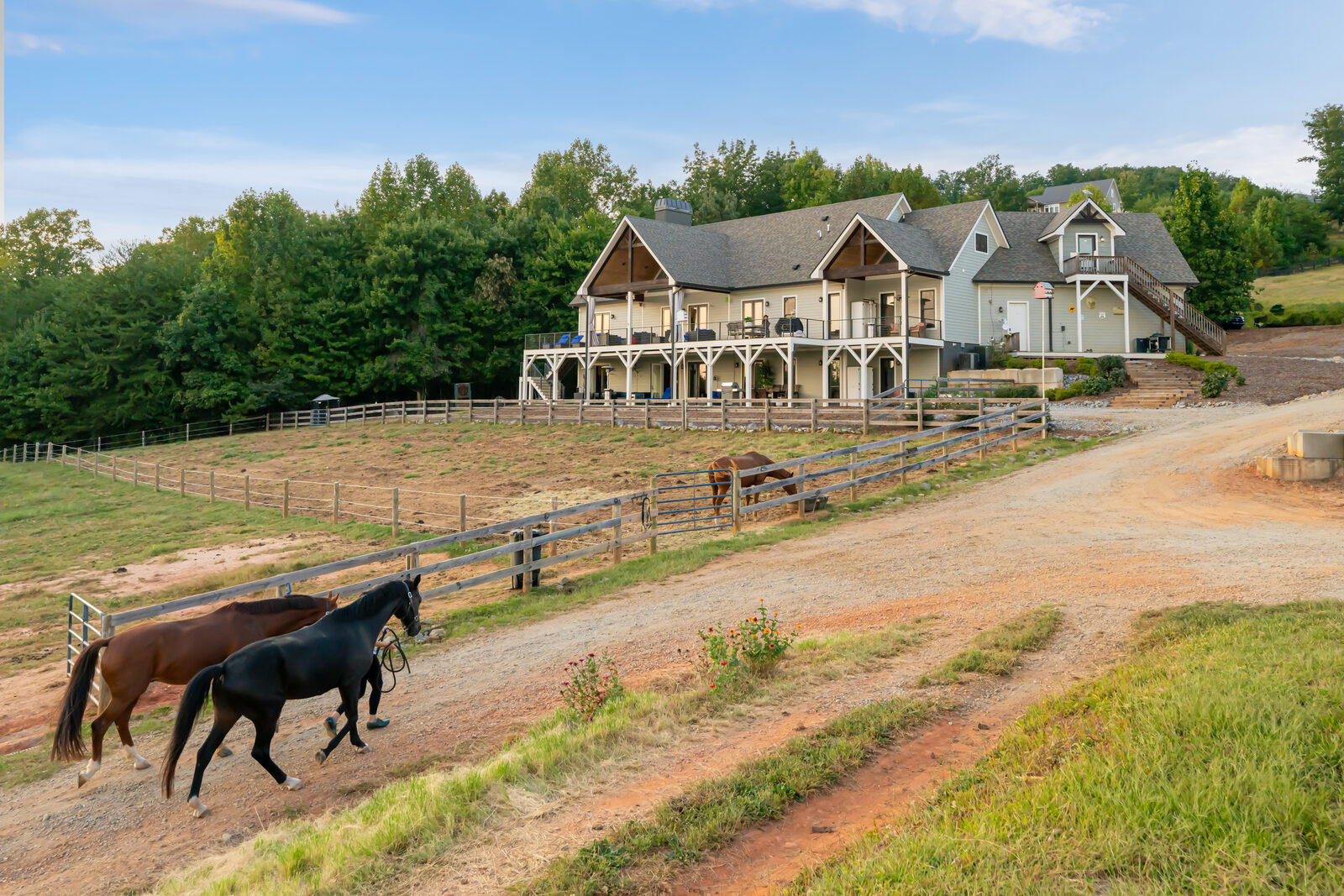 Horses in pasture with lodge